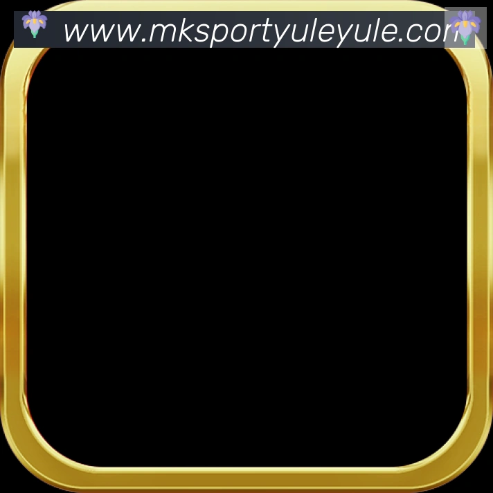 App Interface Preview